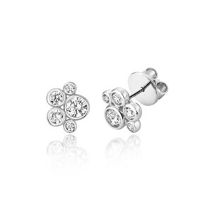 Silver & Co 5 stone Stud Earrings