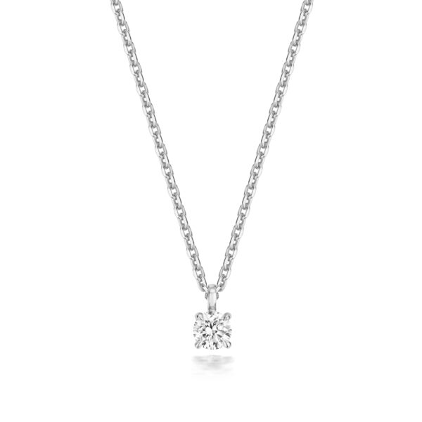Silver & Co Floating Lab Grown Pendant And Chain